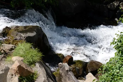 DSC_3209 (Large).JPG